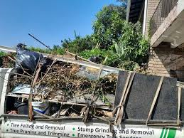 Best Dumpster Rental Services in New Hope, MN